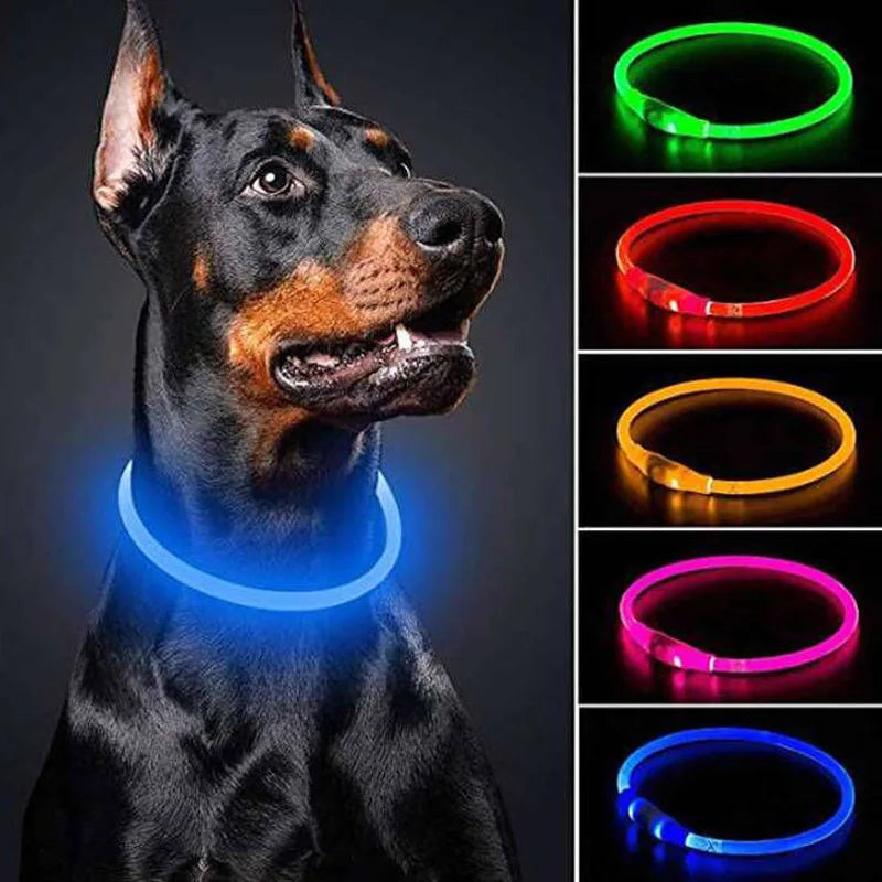 Led Light Dog Collar Usb Charge Luminous