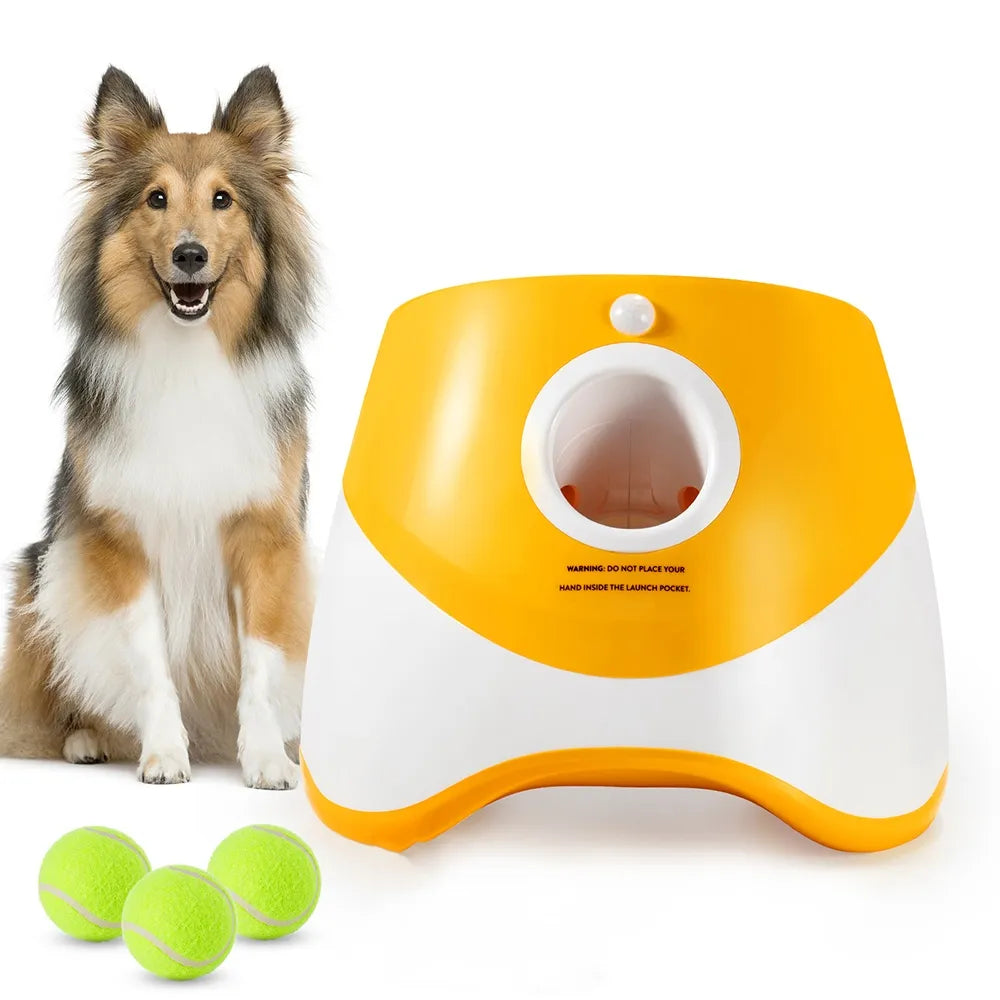Automatic Tennis Ball Launcher for Dog Training