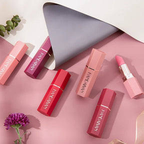 6 Colors Matte Lipstick Beauty Lip Gloss Waterproof 24 Hours